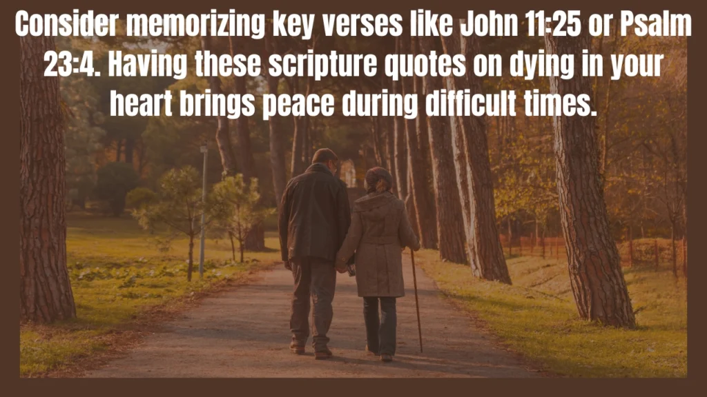 Bible Quotes on Dying: Finding Comfort and Hope in Scripture During Life's Final Journey