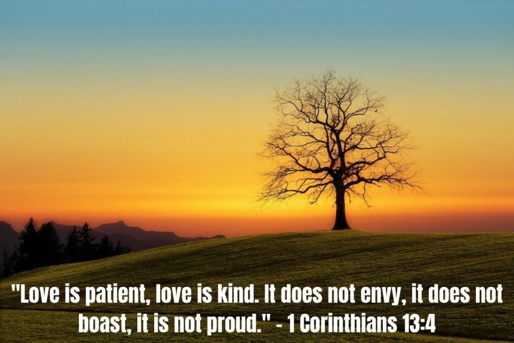 Powerful Inspirational Bible Verses to Transform Your Faith and Daily Life
