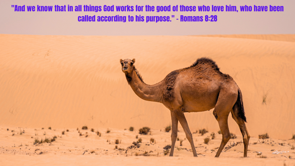 50+ Bible Quotes About Strength: Find Hope and Courage When Life Gets Hard