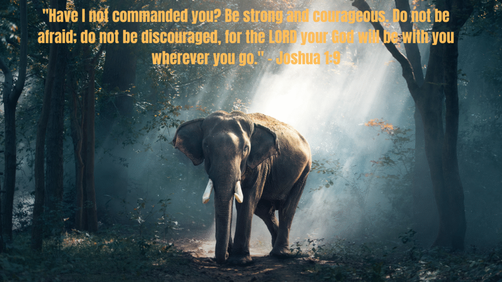50+ Bible Quotes About Strength: Find Hope and Courage When Life Gets Hard