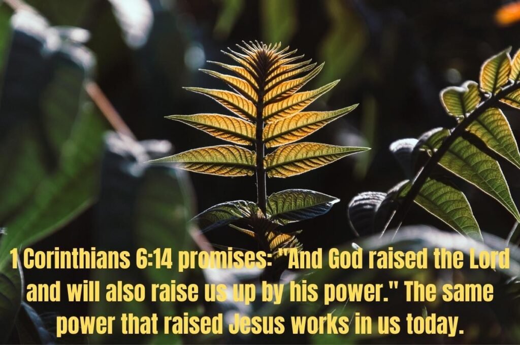 55 Short Easter Bible Verses to Celebrate the Holy Season