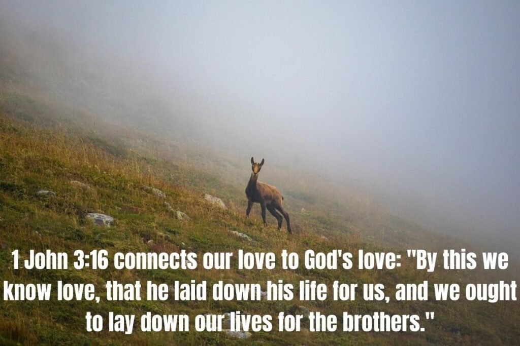 Bible Verses about God's Love: 25+ Powerful Scriptures That Reveal God's Heart for You