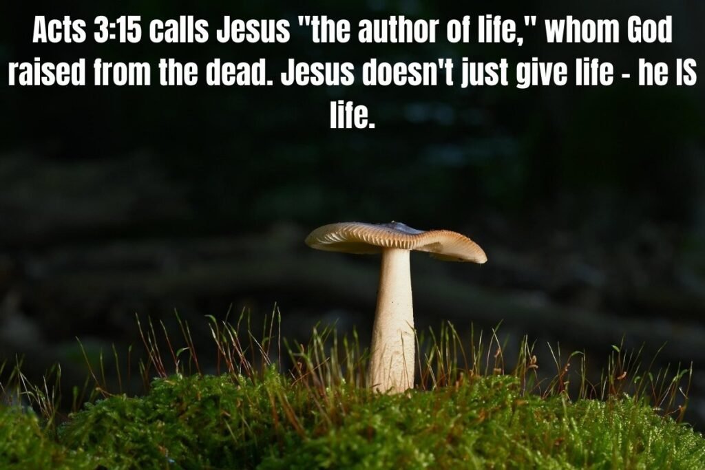 55 Short Easter Bible Verses to Celebrate the Holy Season