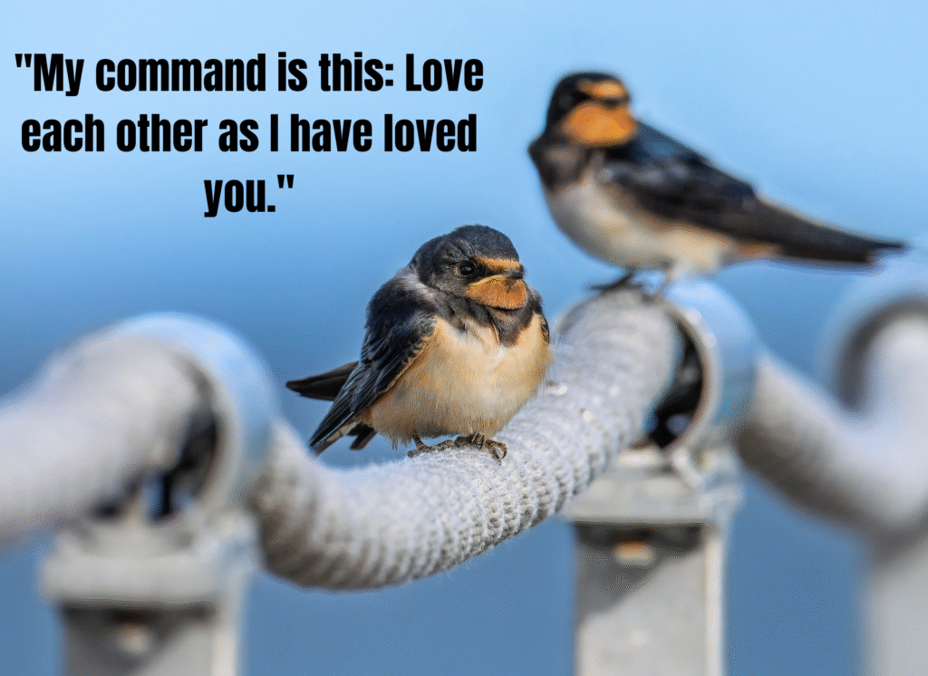 55 Beautiful Bible Quotes About Love And Marriage: Divine Wisdom for Couples