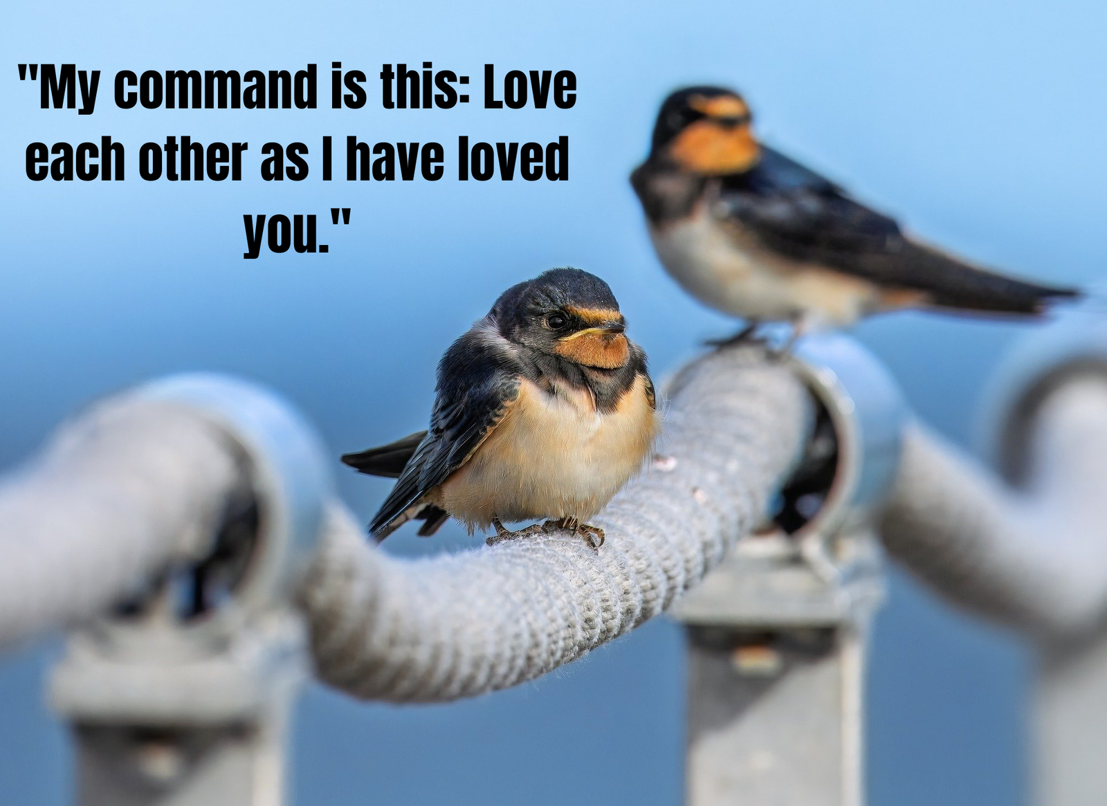 55 Beautiful Bible Quotes About Love And Marriage: Divine Wisdom for Couples