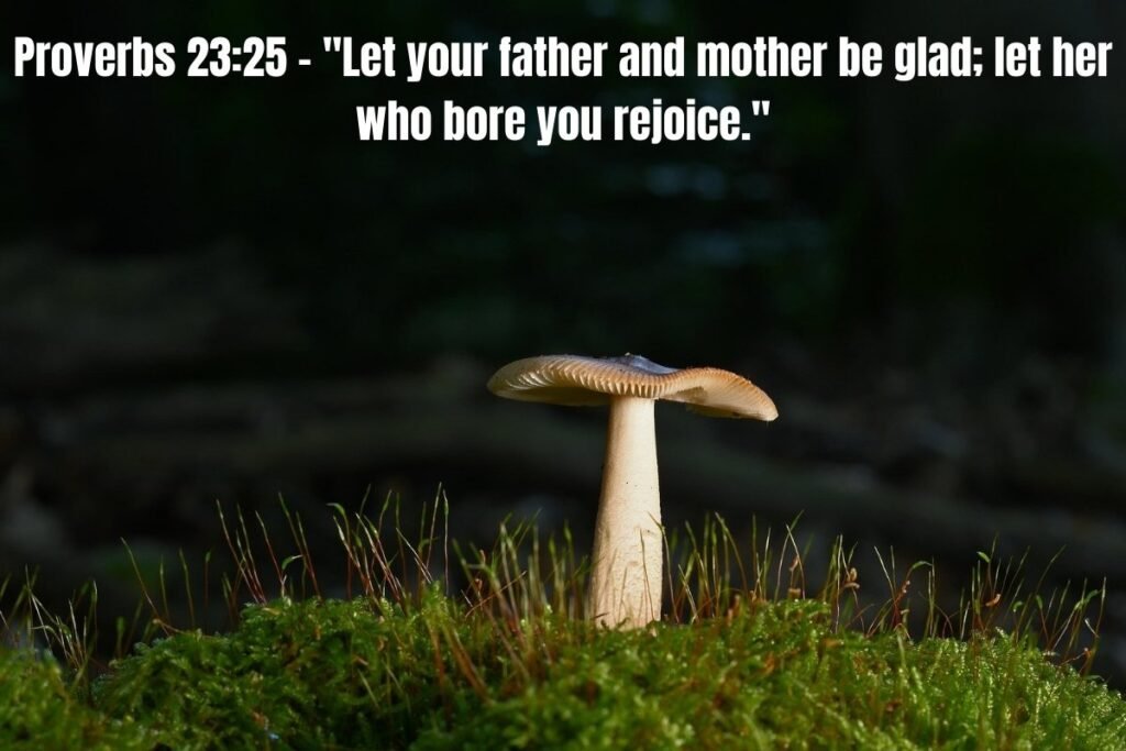 37 Bible Verses for Mother's Day LEARN: Honoring Mothers Through Scripture