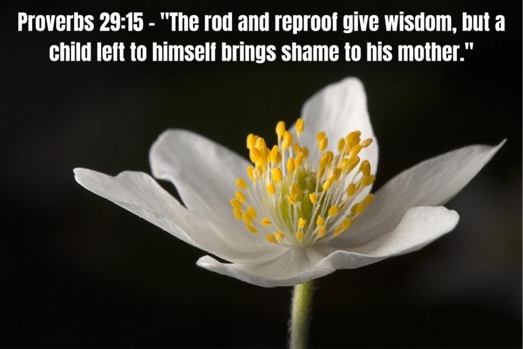 37 Bible Verses for Mother's Day LEARN: Honoring Mothers Through Scripture