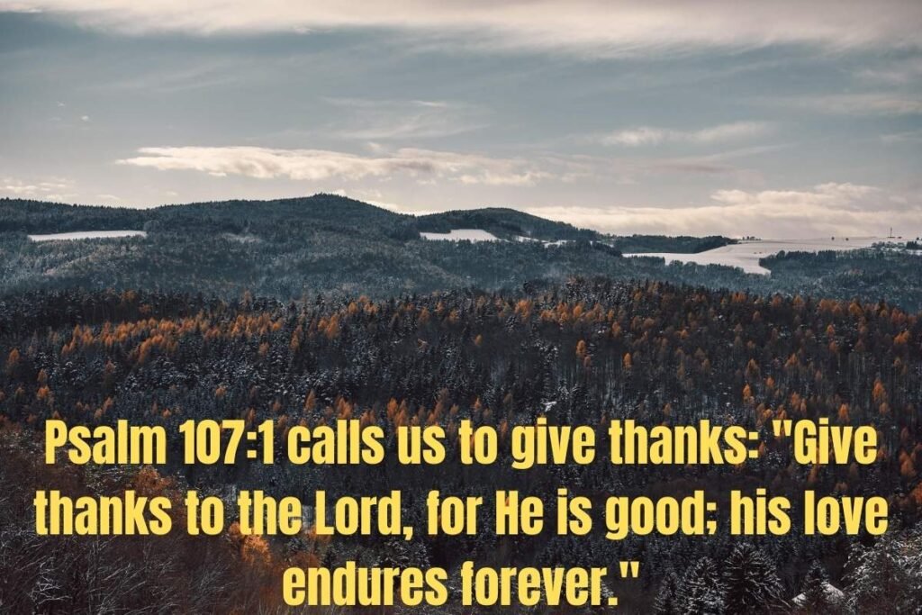 55 Inspirational Bible Verses And Quotes: Find Strength and Hope Through Scripture