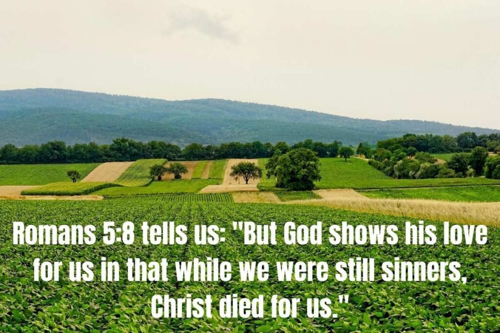 Bible Verses about God's Love: 25+ Powerful Scriptures That Reveal God's Heart for You