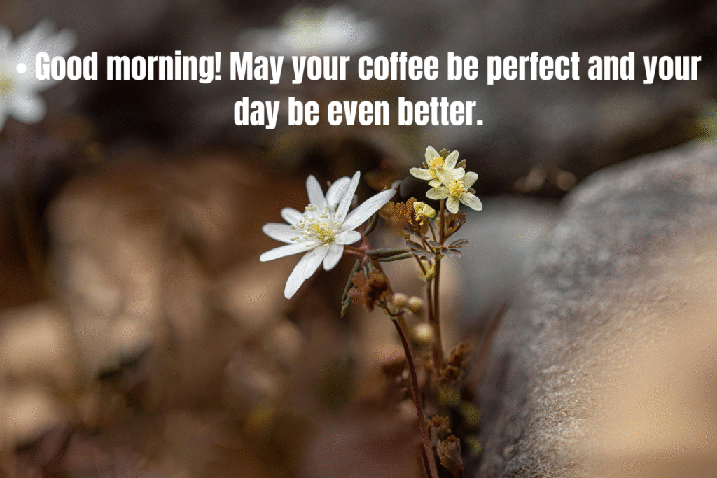 100+ Sweet Good Morning Messages For Friends To Brighten Their Day