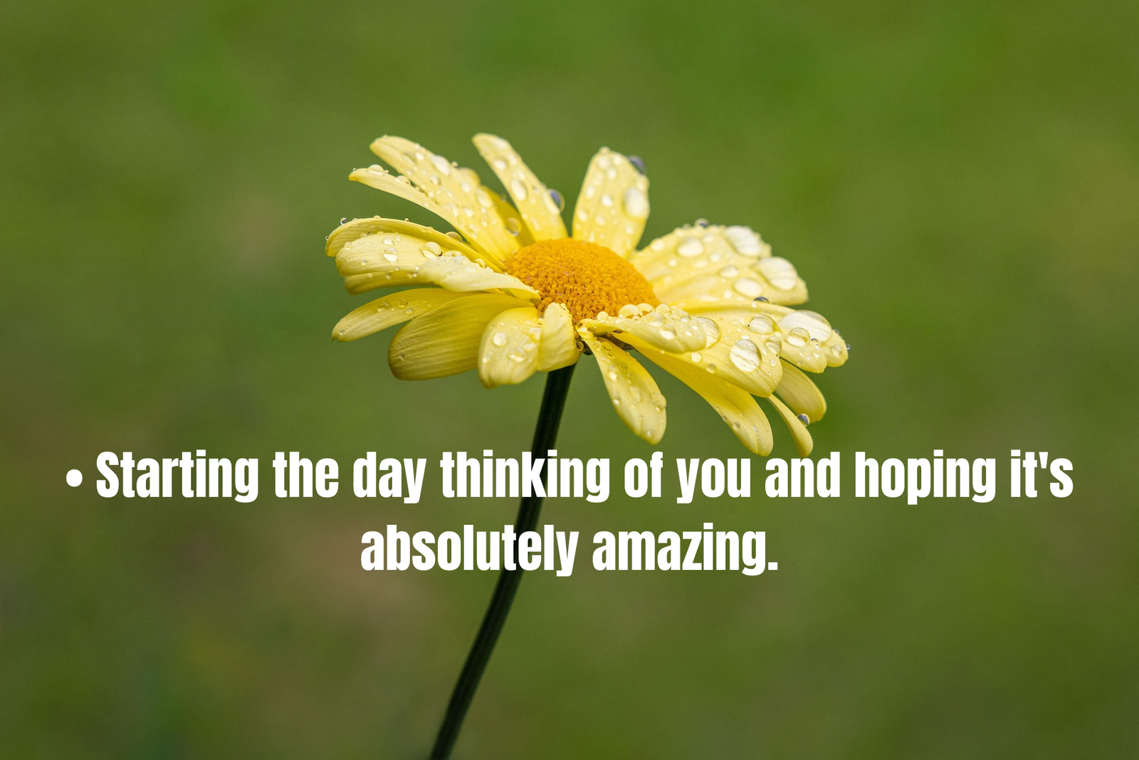 100+ Sweet Good Morning Messages For Friends To Brighten Their Day