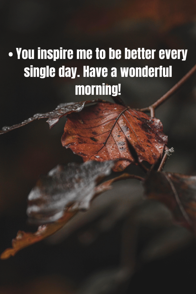 100+ Sweet Good Morning Messages For Friends To Brighten Their Day