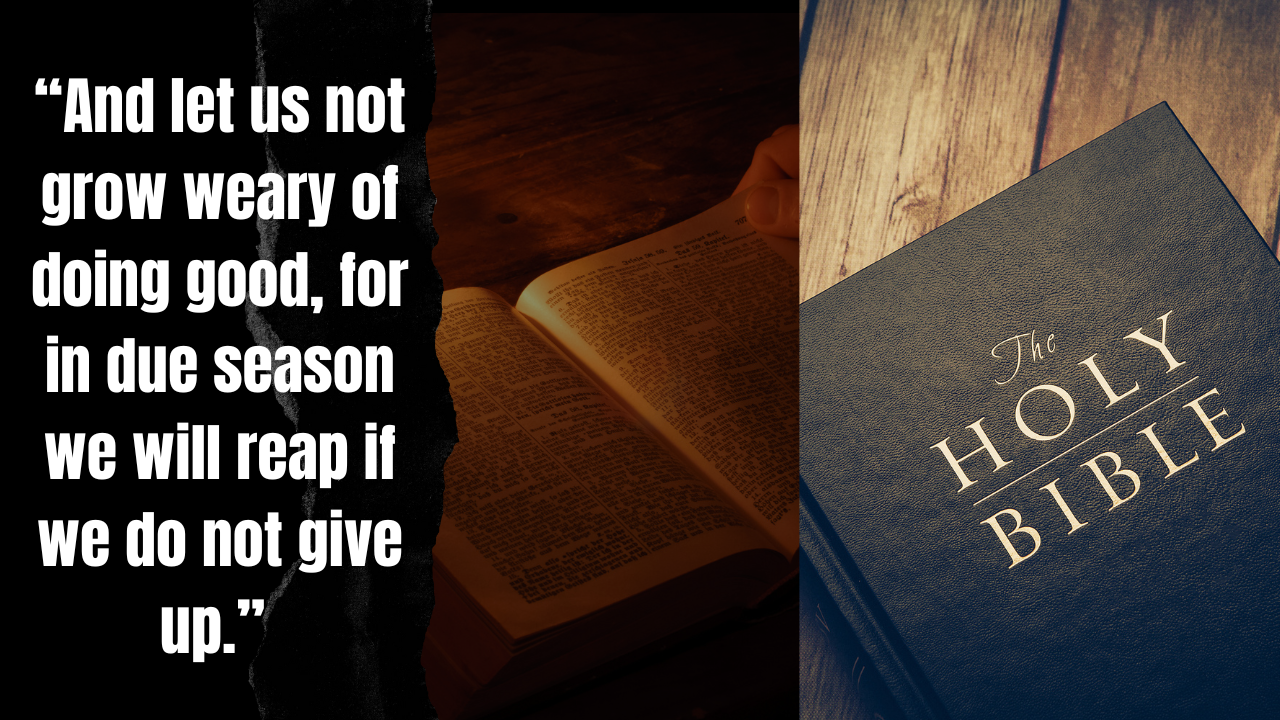 Bible Quotes on Sports