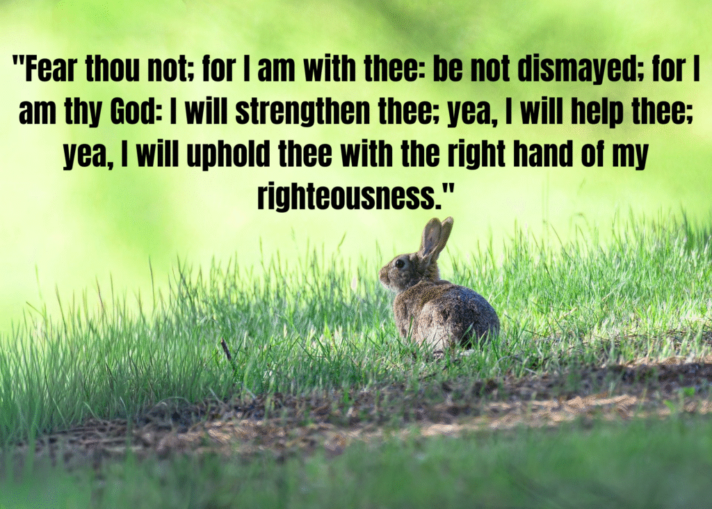 The Best Bible Break Up Quotes To Heal Your Broken Heart After A Painful Separation