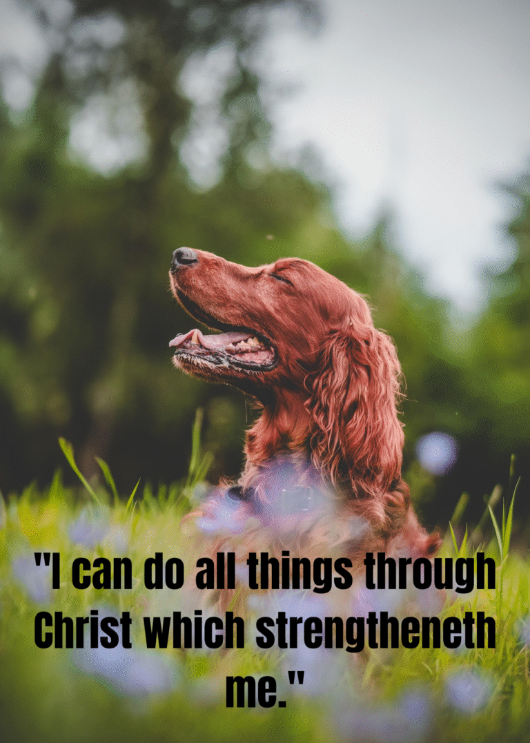 30+The Best Bible Break Up Quotes To Heal Your Broken Heart After A Painful Separation