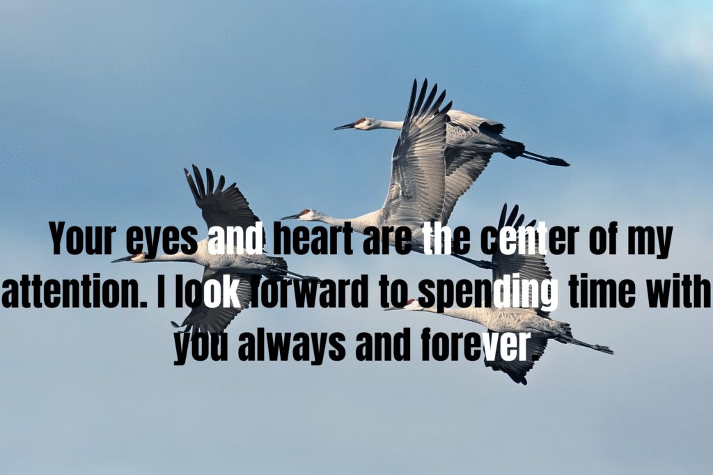 100+ Emotional Love Messages for Boyfriend to Make Him Cry