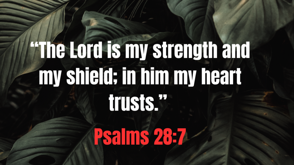 35+ Powerful Bible Quotes for Women to Strengthen Your Faith Daily