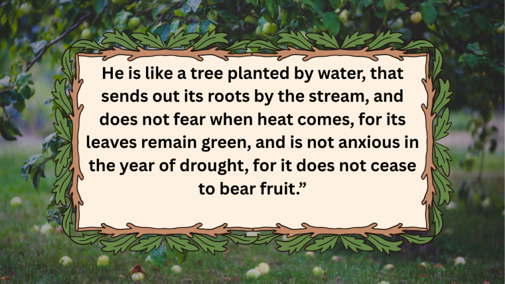 60+ Bible Quotes About Trees: Complete Scripture Guide for Spiritual Growth