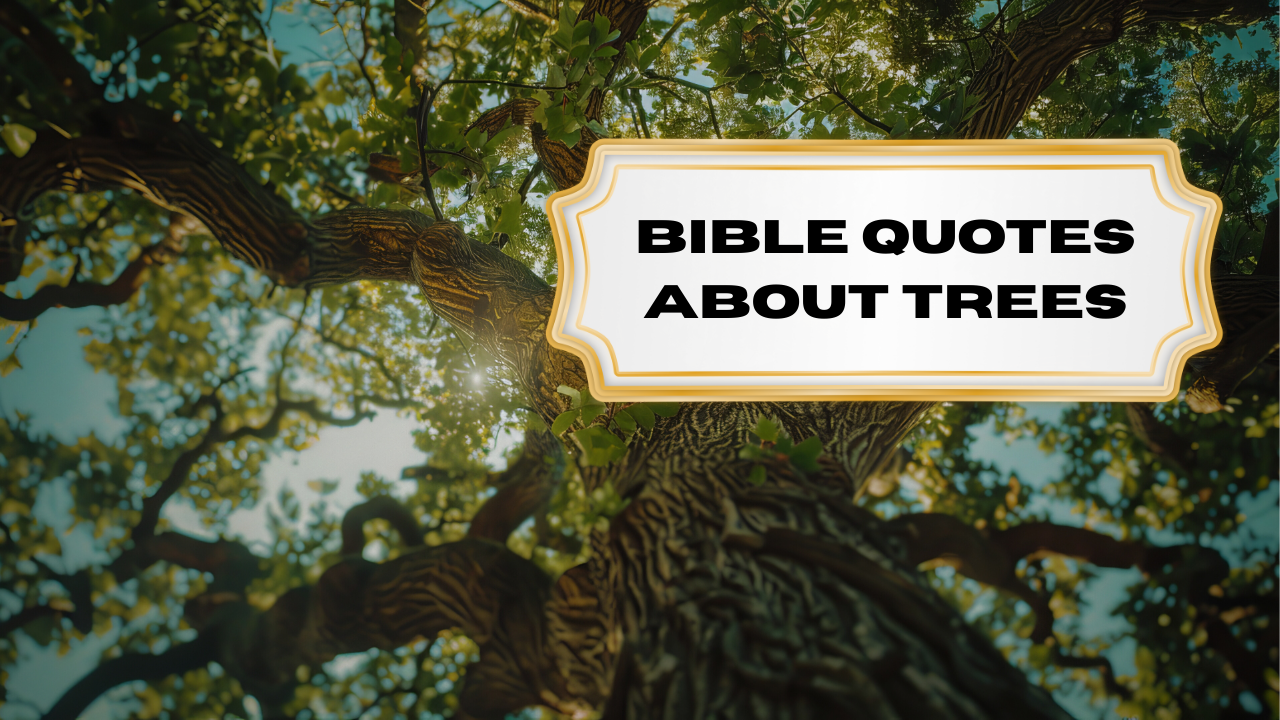 60+ Bible Quotes About Trees: Complete Scripture Guide for Spiritual Growth