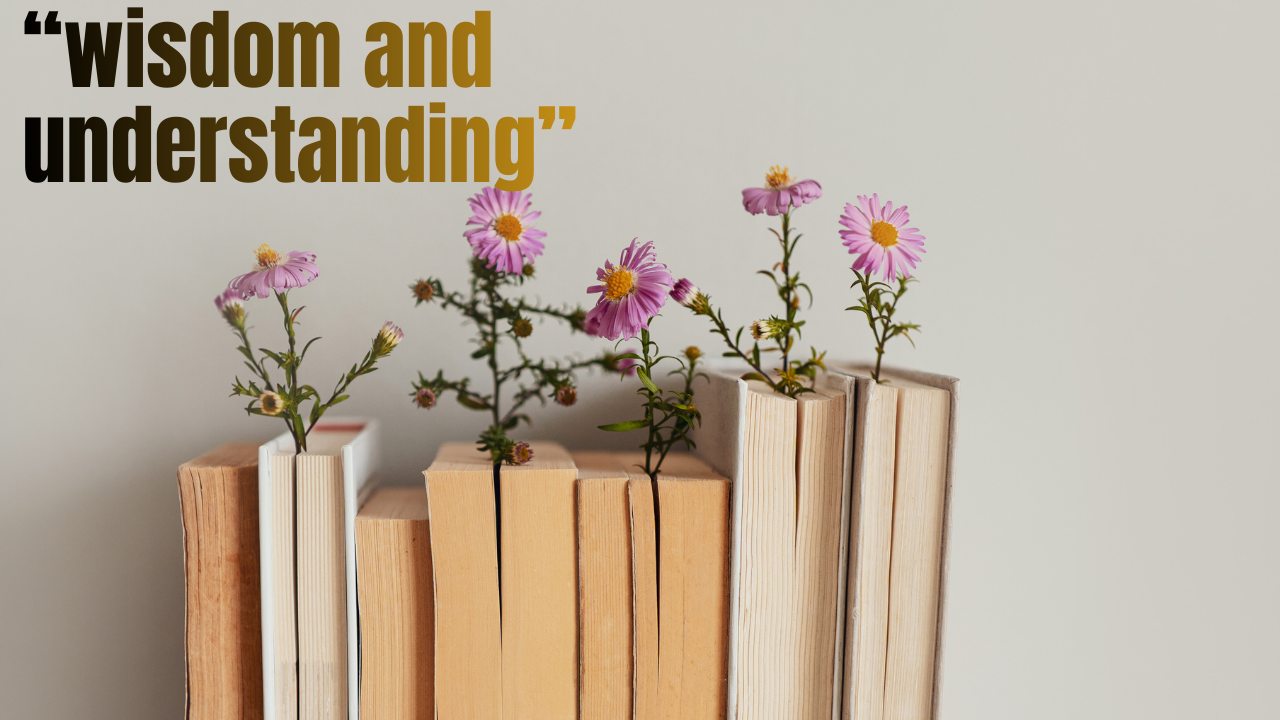 35+ Powerful Bible Quotes About Knowledge: Scripture's Wisdom for Understanding God's Truth