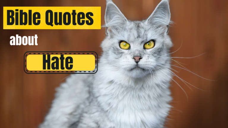 35+ Bible Quotes on Hatred: What Scripture Says About Hate