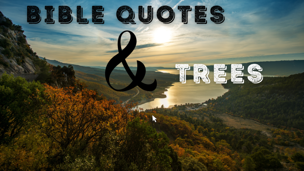 60+ Bible Quotes About Trees: Complete Scripture Guide for Spiritual Growth