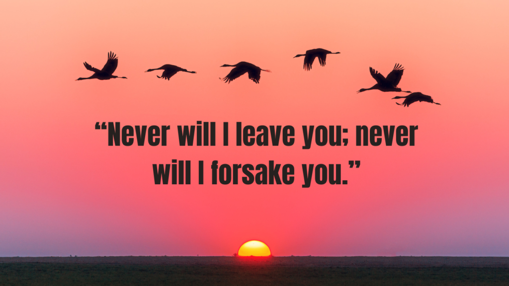 20+ Powerful Bible Quotes for Broken Heart