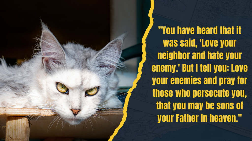 35+ Bible Quotes on Hatred: What Scripture Says About Hate