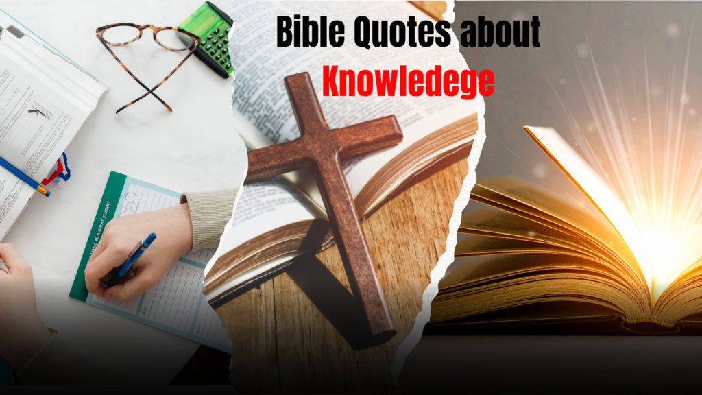 35+ Powerful Bible Quotes About Knowledge: Scripture's Wisdom for Understanding God's Truth