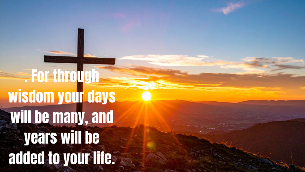 50+ Powerful Bible Quotes About Knowledge and Wisdom to Guide Your Life