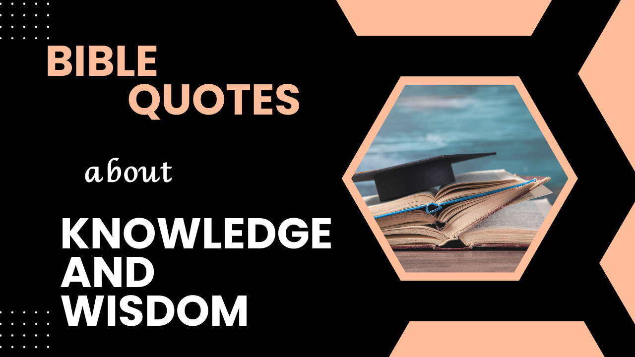 50+ Powerful Bible Quotes About Knowledge and Wisdom to Guide Your Life