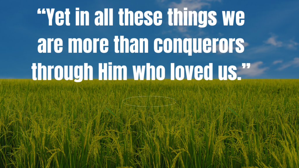 50+ Bible Quotes about Warrior: Powerful Scripture for Spiritual Strength