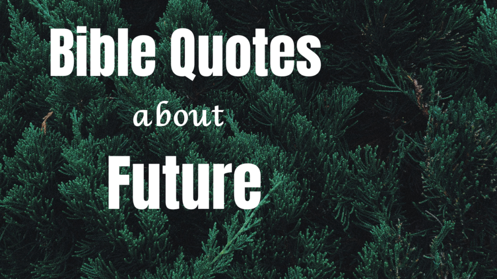 50+ Bible Quotes About the Future to Anchor Your Hope