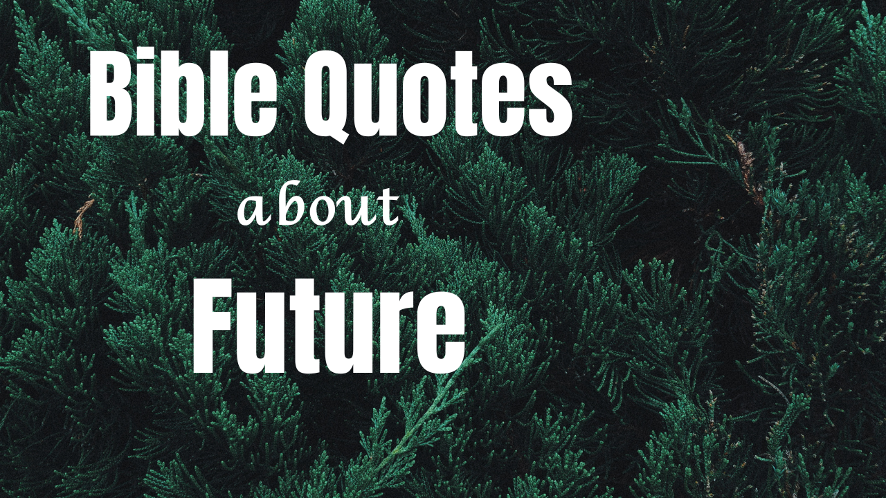 50+ Bible Quotes About the Future to Anchor Your Hope