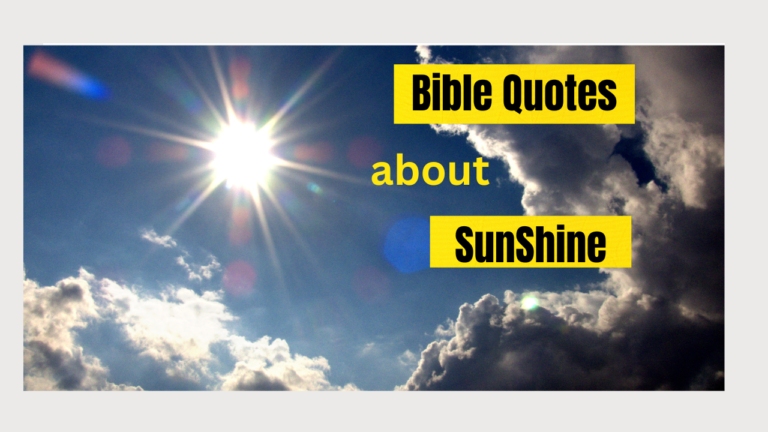45+ Bible Quotes About Sunshine: Scripture Verses About God's Light