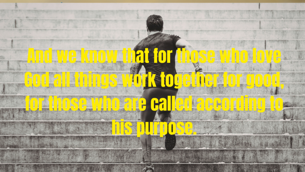 Bible Verses About Adversity and Finding Peace