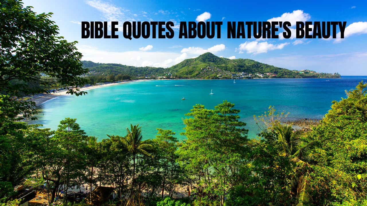 45+ Bible Quotes About Nature's Beauty That Will Deepen Your Faith and Refresh Your Soul