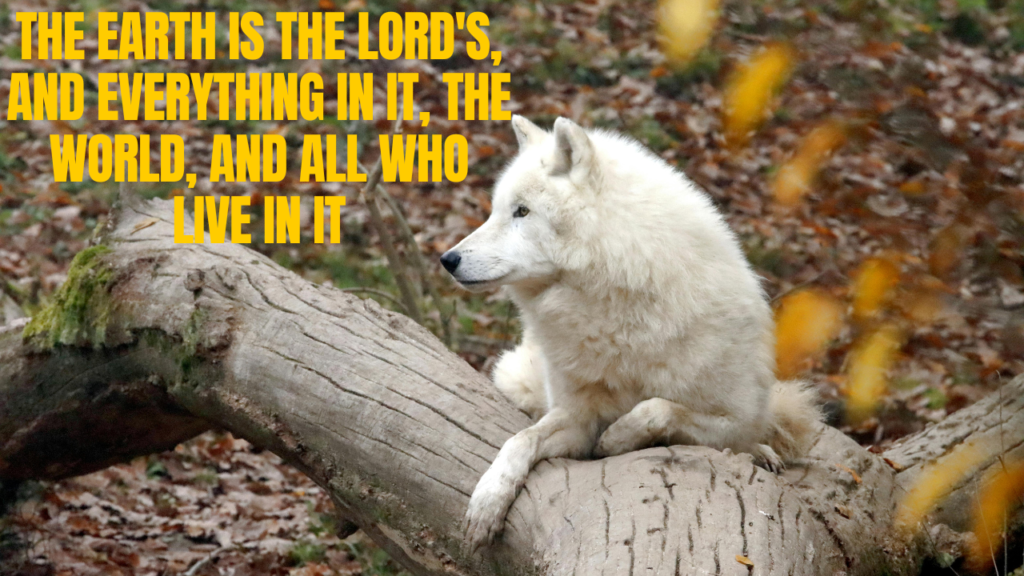 Bible Quotes About Mountains and the Earth's Majesty