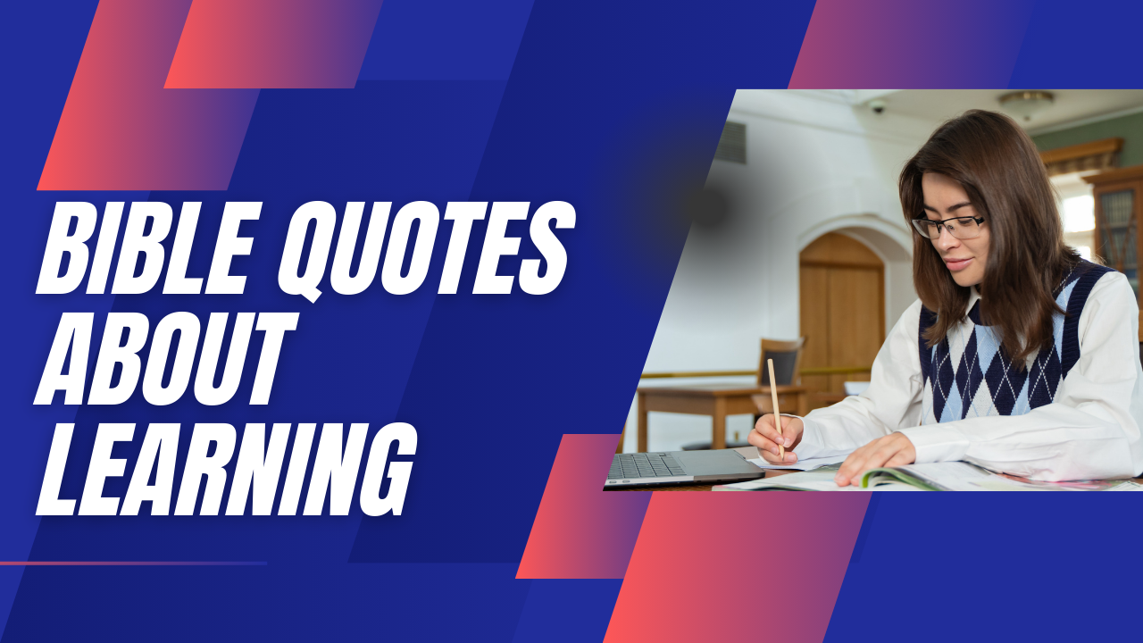 45+ Bible Quotes About Learning That Will Inspire Your Faith and Growth
